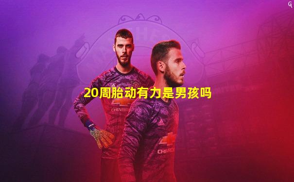 20周胎动有力是男孩吗