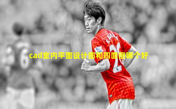cad室内平面设计图和四面图哪个好