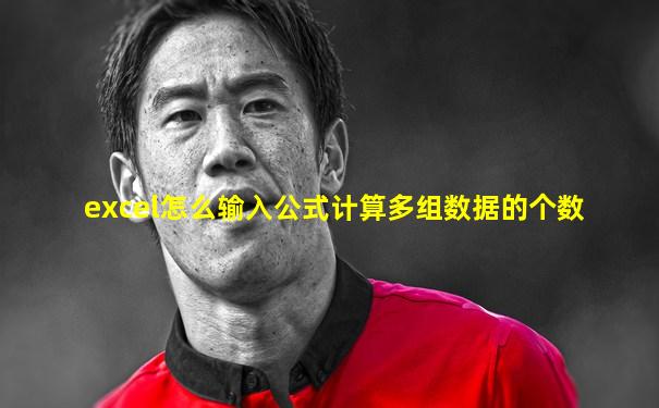 excel怎么输入公式计算多组数据的个数