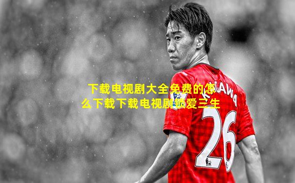 下载电视剧大全免费的怎么下载下载电视剧锁爱三生