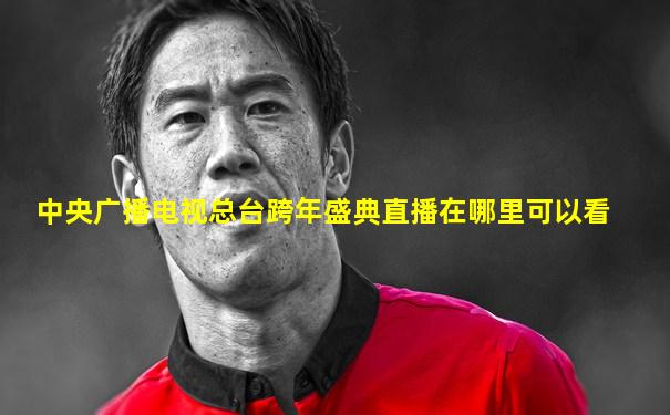 中央广播电视总台跨年盛典直播在哪里可以看