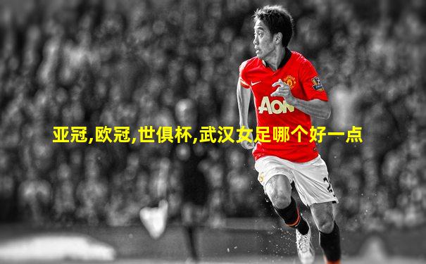 亚冠,欧冠,世俱杯,武汉女足哪个好一点