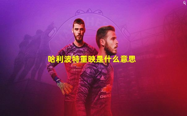 哈利波特重映是什么意思