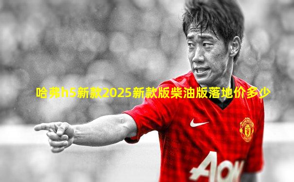 哈弗h5新款2025新款版柴油版落地价多少