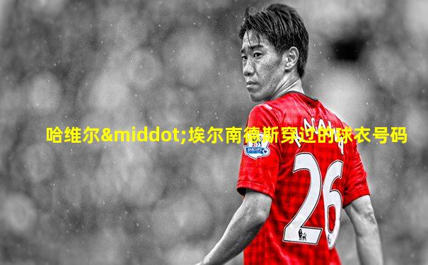 哈维尔·埃尔南德斯穿过的球衣号码