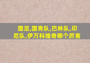 国足,国青队,巴林队,印尼队,伊万科维奇哪个厉害