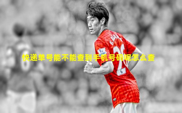 快递单号能不能查到手机号码呢怎么查