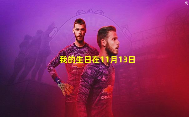 我的生日在11月13日