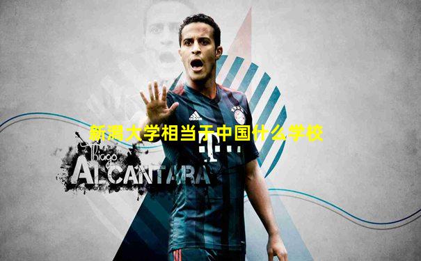 新潟大学相当于中国什么学校