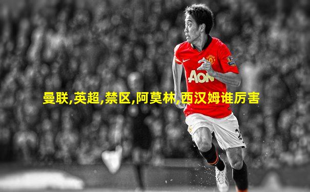 曼联,英超,禁区,阿莫林,西汉姆谁厉害