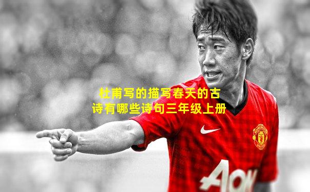 杜甫写的描写春天的古诗有哪些诗句三年级上册