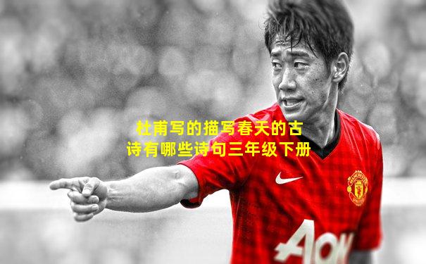 杜甫写的描写春天的古诗有哪些诗句三年级下册