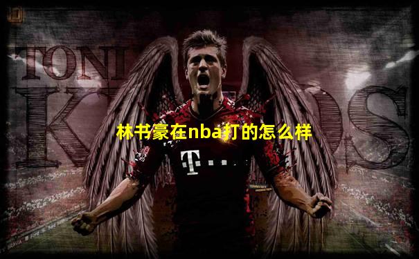 林书豪在nba打的怎么样