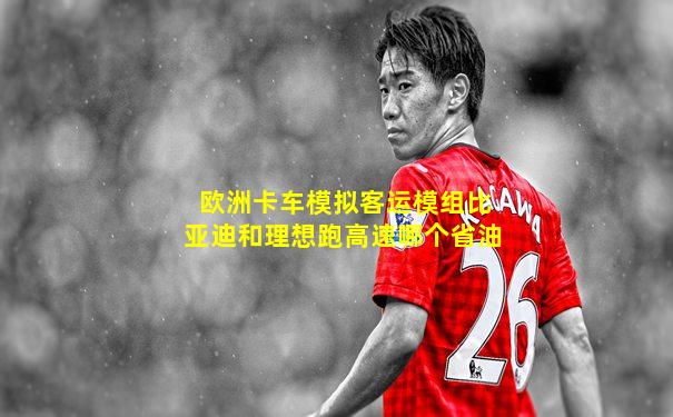 欧洲卡车模拟客运模组比亚迪和理想跑高速哪个省油