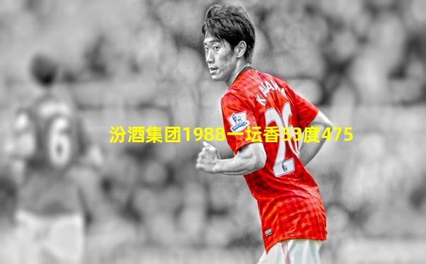 汾酒集团1988一坛香53度475