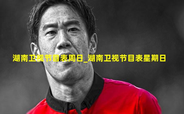 湖南卫视节目表周日_湖南卫视节目表星期日