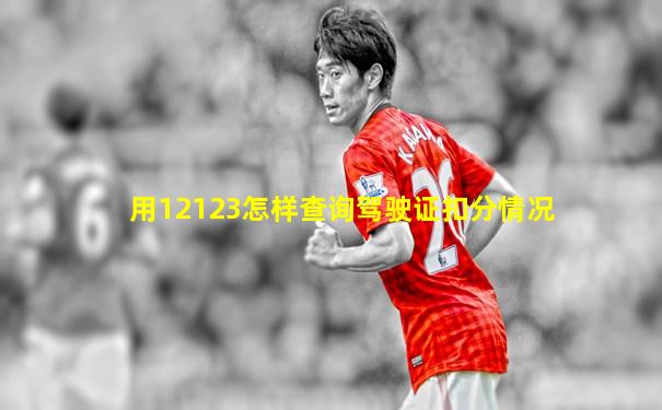 用12123怎样查询驾驶证扣分情况