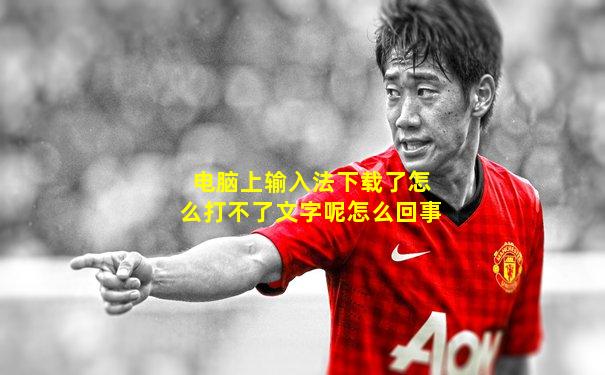 电脑上输入法下载了怎么打不了文字呢怎么回事