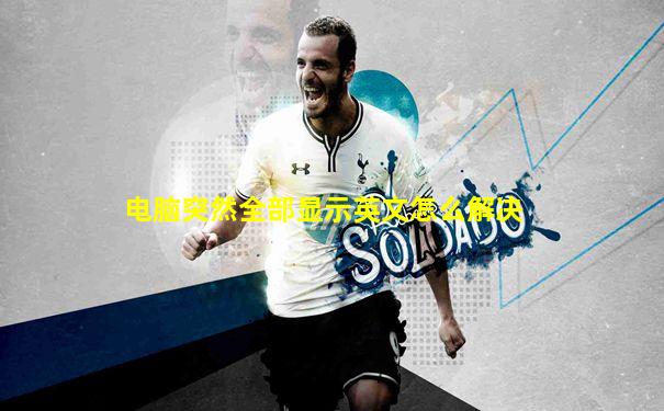 电脑突然全部显示英文怎么解决