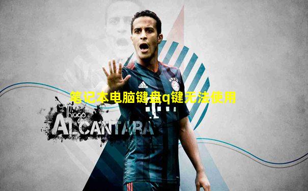 笔记本电脑键盘q键无法使用