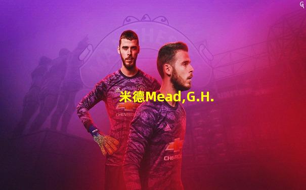 米德Mead,G.H.