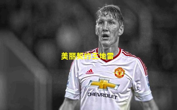 美丽契约王地雷