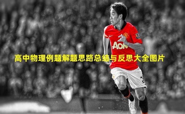 高中物理例题解题思路总结与反思大全图片