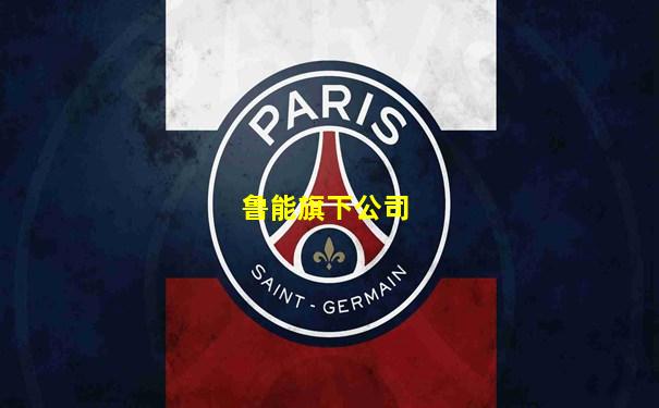 鲁能旗下公司