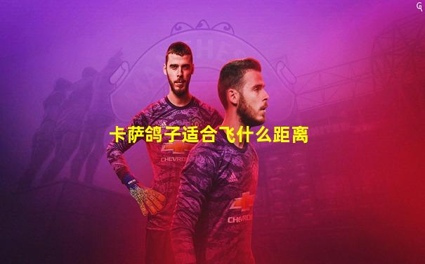 卡萨鸽子适合飞什么距离